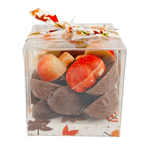 Frutti autunnali in cioccolato