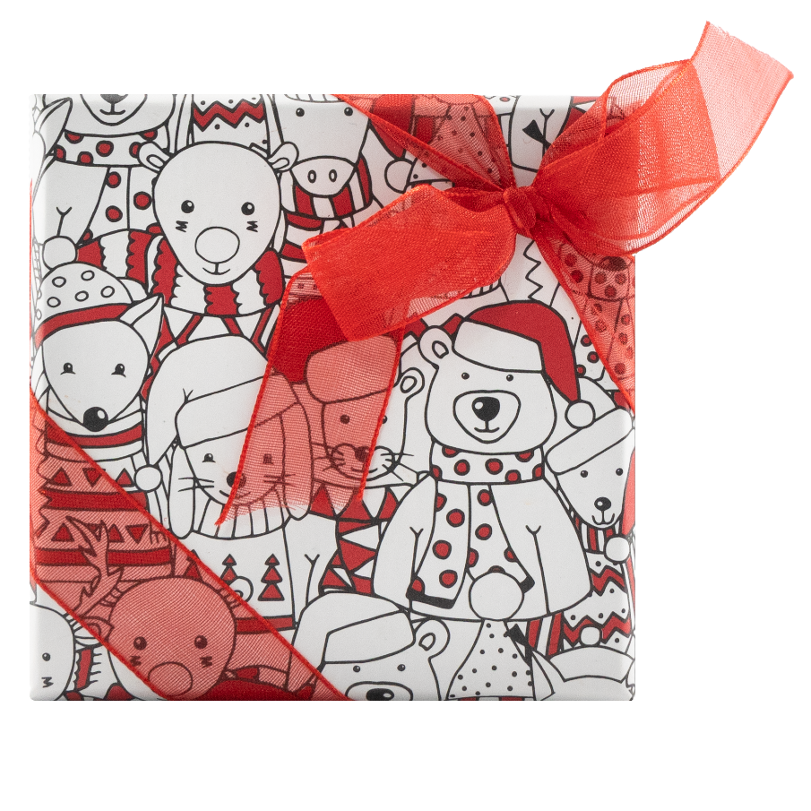 Scatola di Natale 4 praline 50g