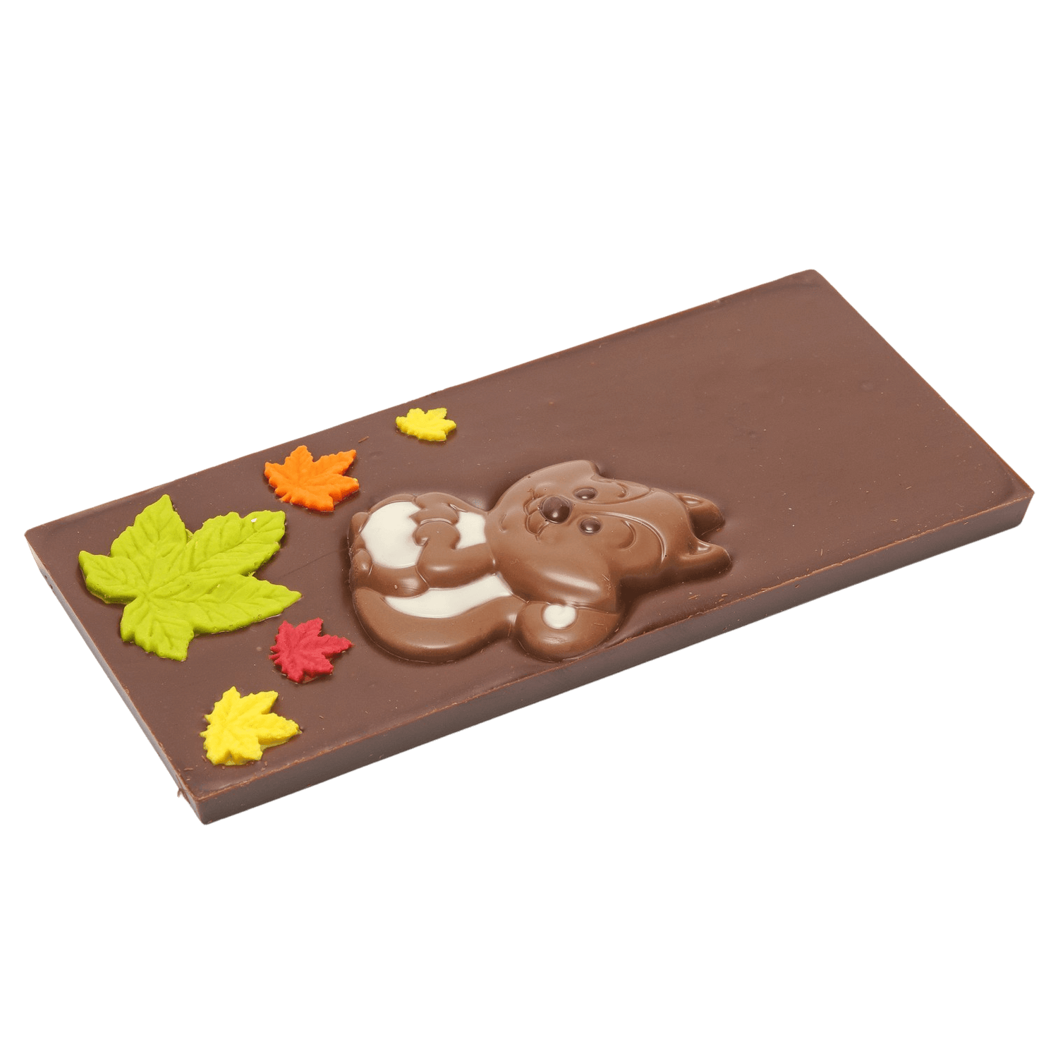 Tavoletta di cioccolato fondente scoiattolo 125 g