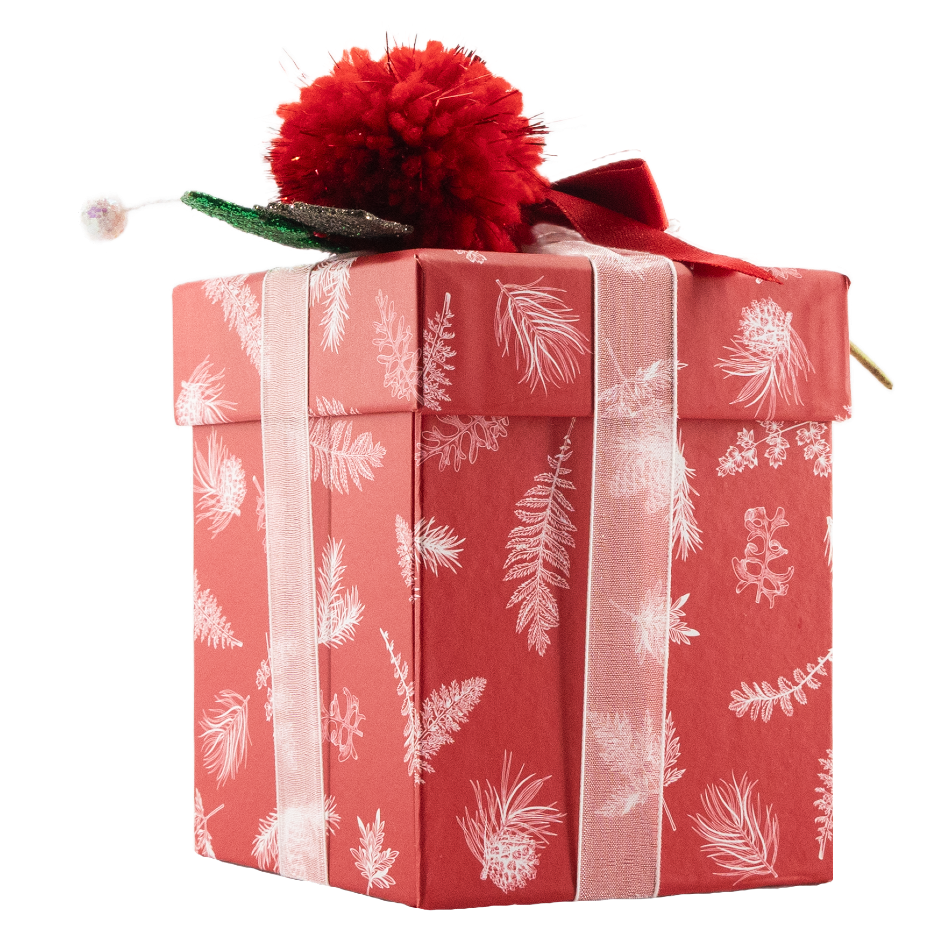 Cassetto di Natale scatola 12 praline 180g