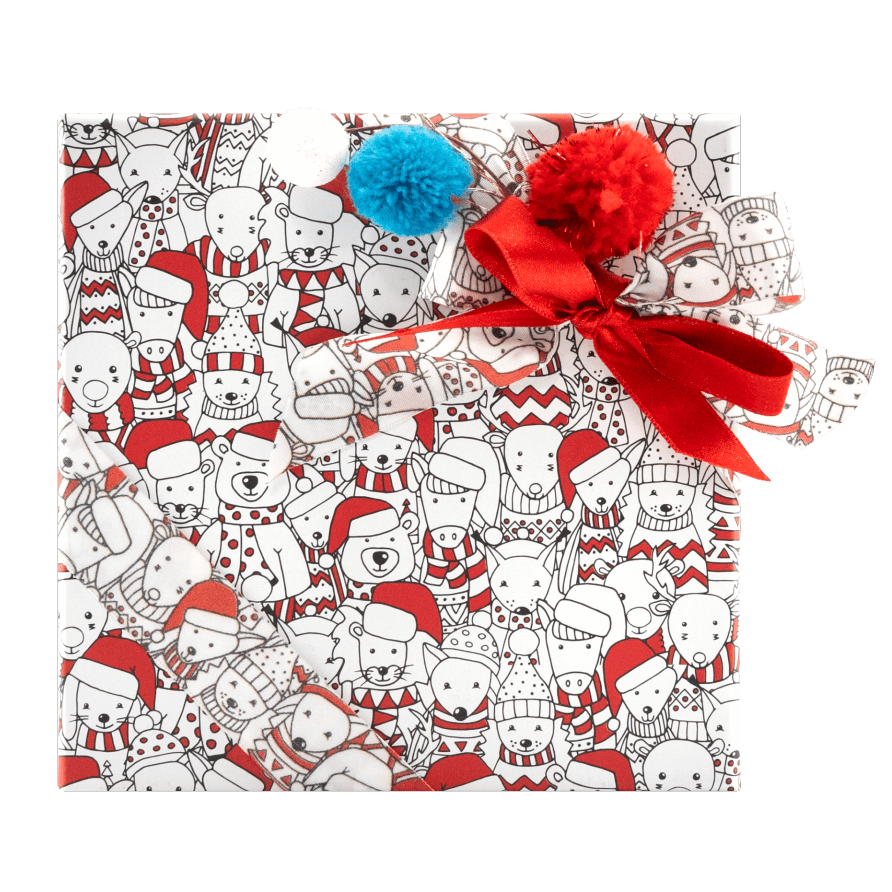 Scatola di Natale 16 praline 240g