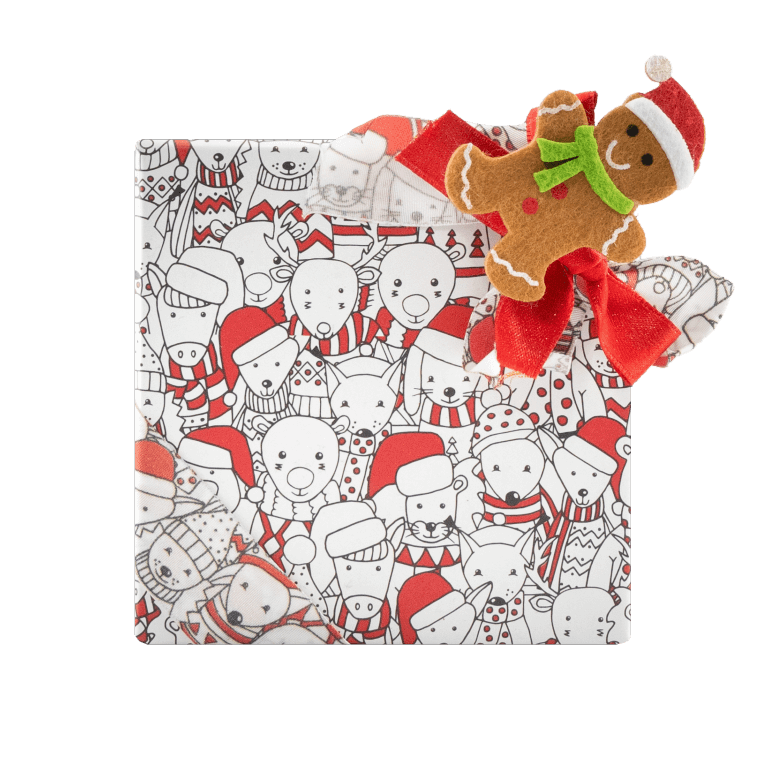 Scatola di Natale 9 praline 135g